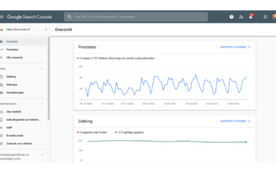 Hoe gebruik je Google Search Console